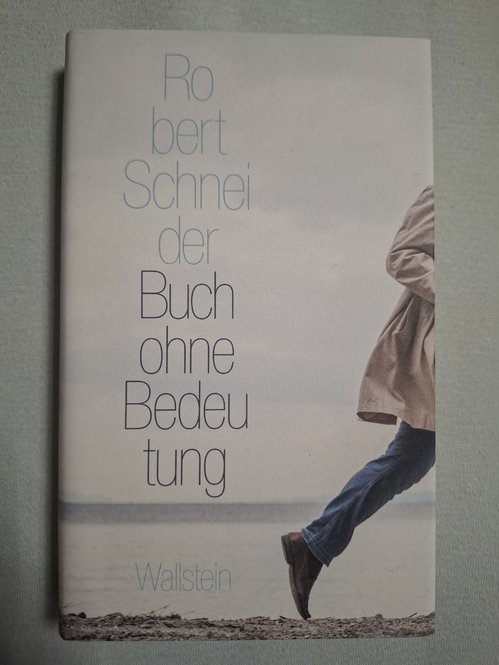 Livres: Buch ohne Bedeutung. Robert Schneider – D'occasion à Urtenen-Schönbühl par nerdgirl