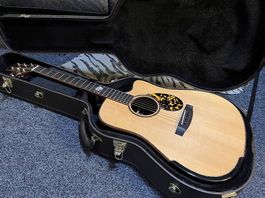 Acoustic Gitarre Aosen