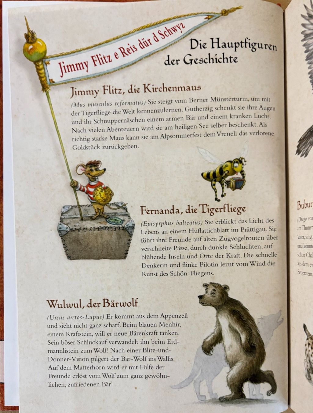 Libri: Jimmy Flitz die Schweizermaus - Eine Reise durch die Schweiz – Nuovo e nell'imballaggio originale da Sarnen venduto da Livres 3
