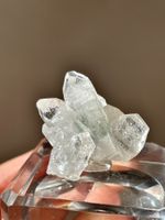 Apophyllit – Indien – Mineralstufe 2-4cm