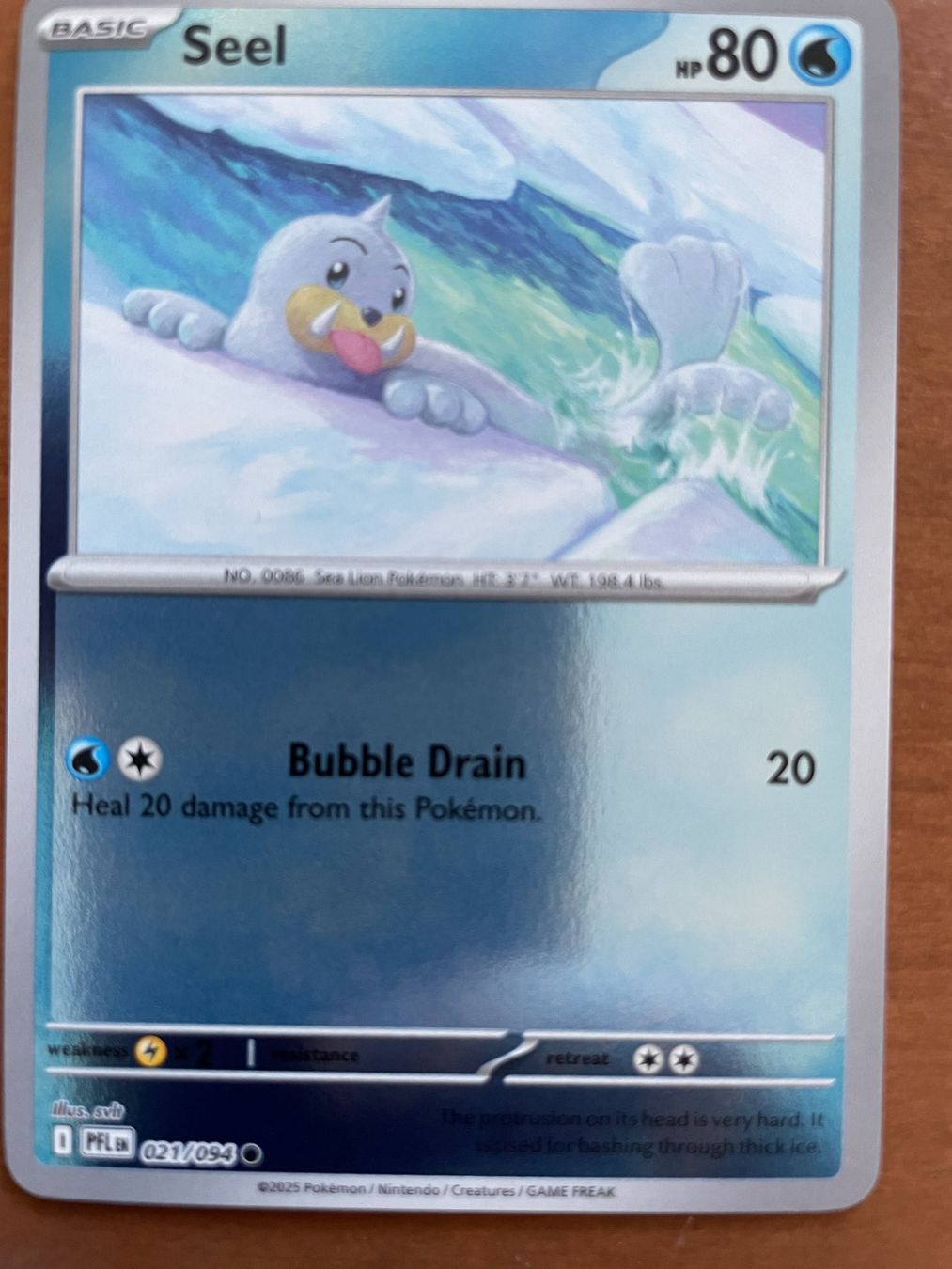 Pokémon Cartes à collectionner: Pokemon Seel Reverse (Versand gratis) – Neuf (Voir description) à Chur par Angerson