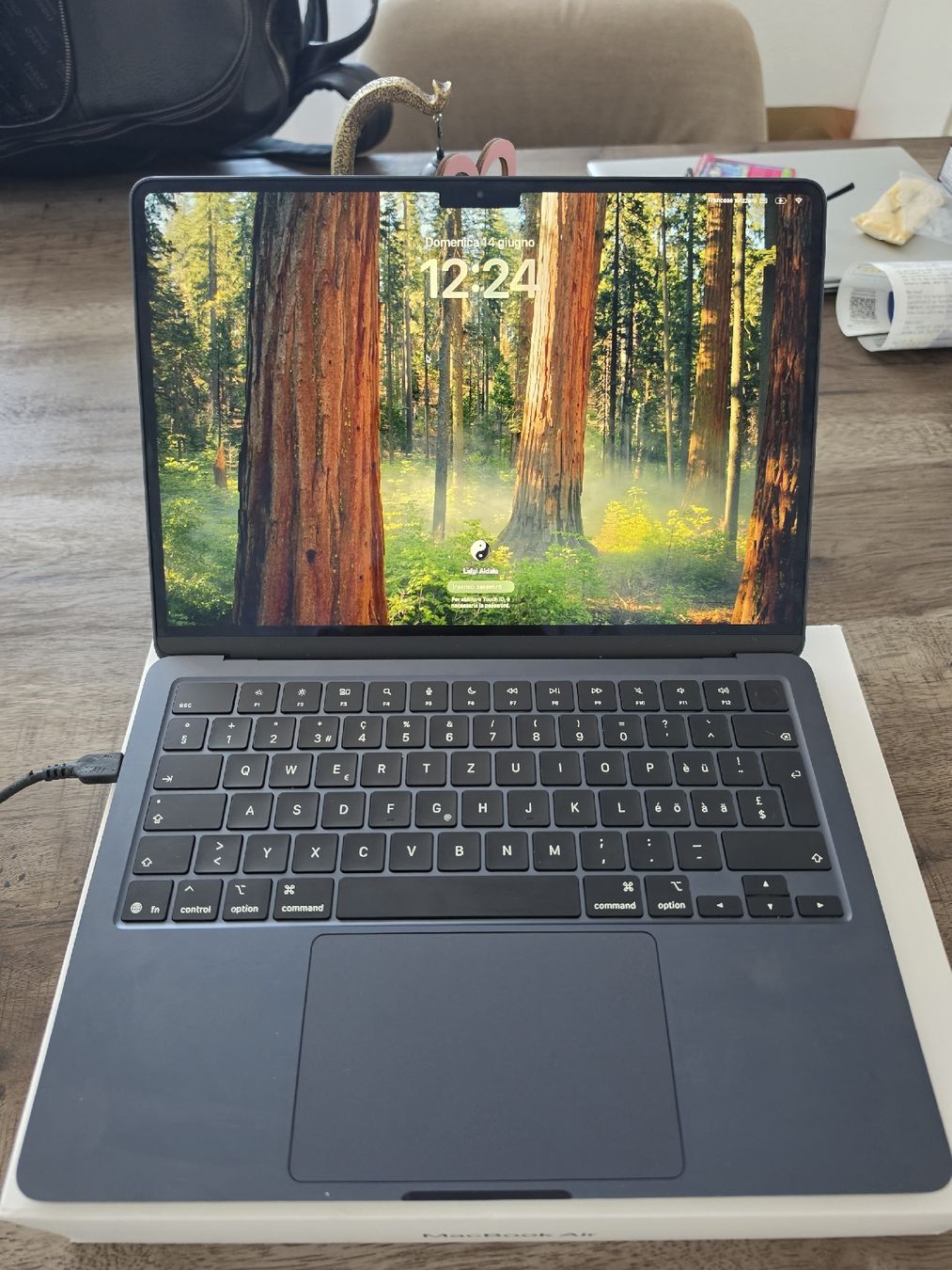 Apple Notebook: Apple MacBook Air  – Usato da Frick venduto da TCGInfinity 2