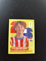 Panini PAR 14