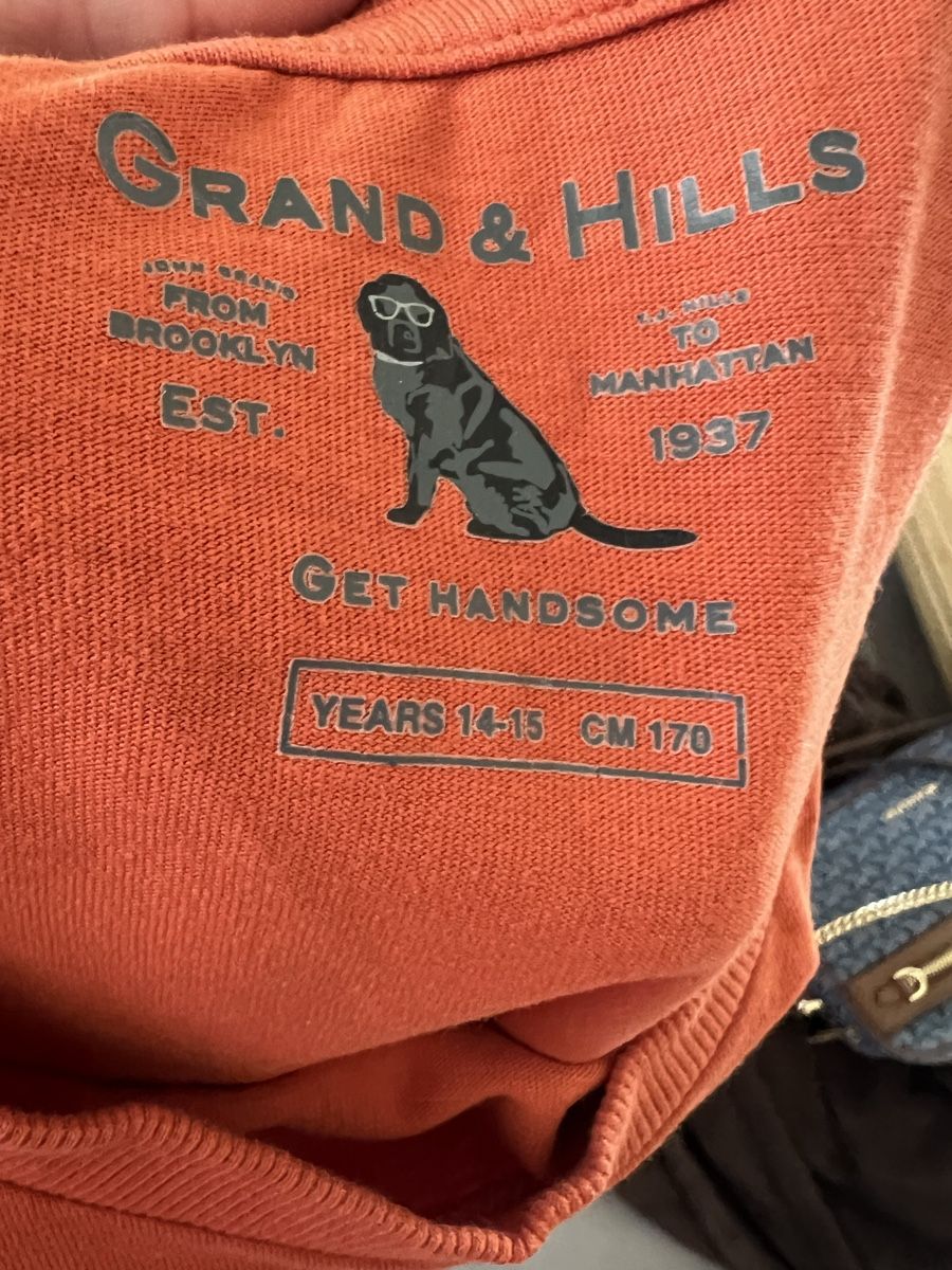 Camicie, T-shirt & Polo: Grand & Hills Tshirt gr. S, 100% Baumwolle – Usato da Triesen venduto da bubita 2