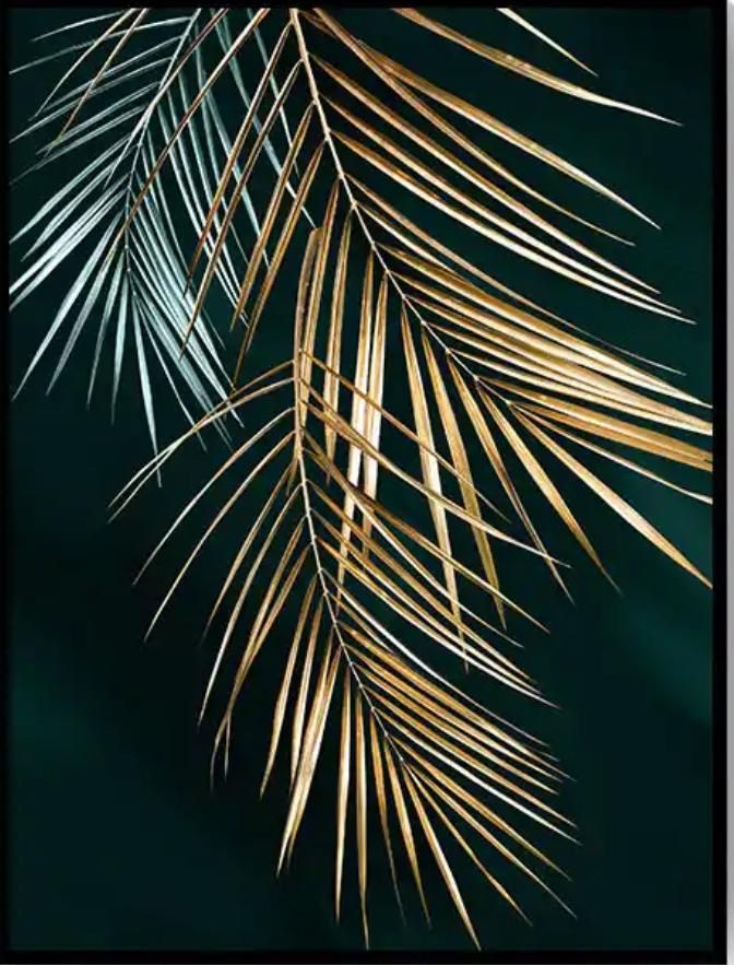 Posters & Illustrations: Poster Wandbild – Neuf (Voir description) à Sarmenstorf par T.Sunl8 3