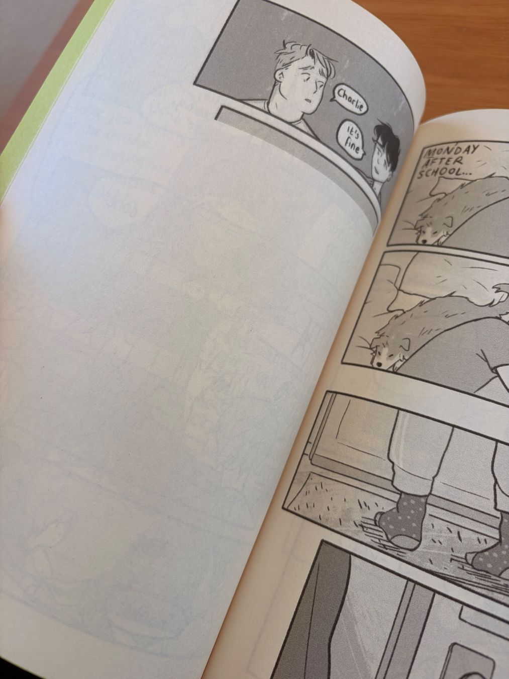 BD: Special Edition Heartstopper Volume 3 – D'occasion à Winterthur par tanasa 4