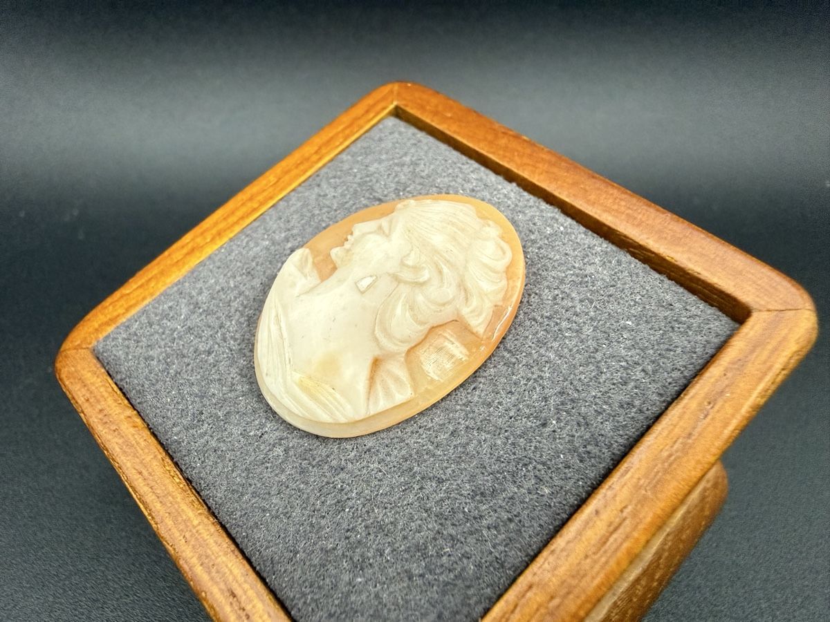 Sculture & Statue: Antiker Cameo mit Frauenprofil – Usato da Lamone venduto da LaCantinaMagica 3