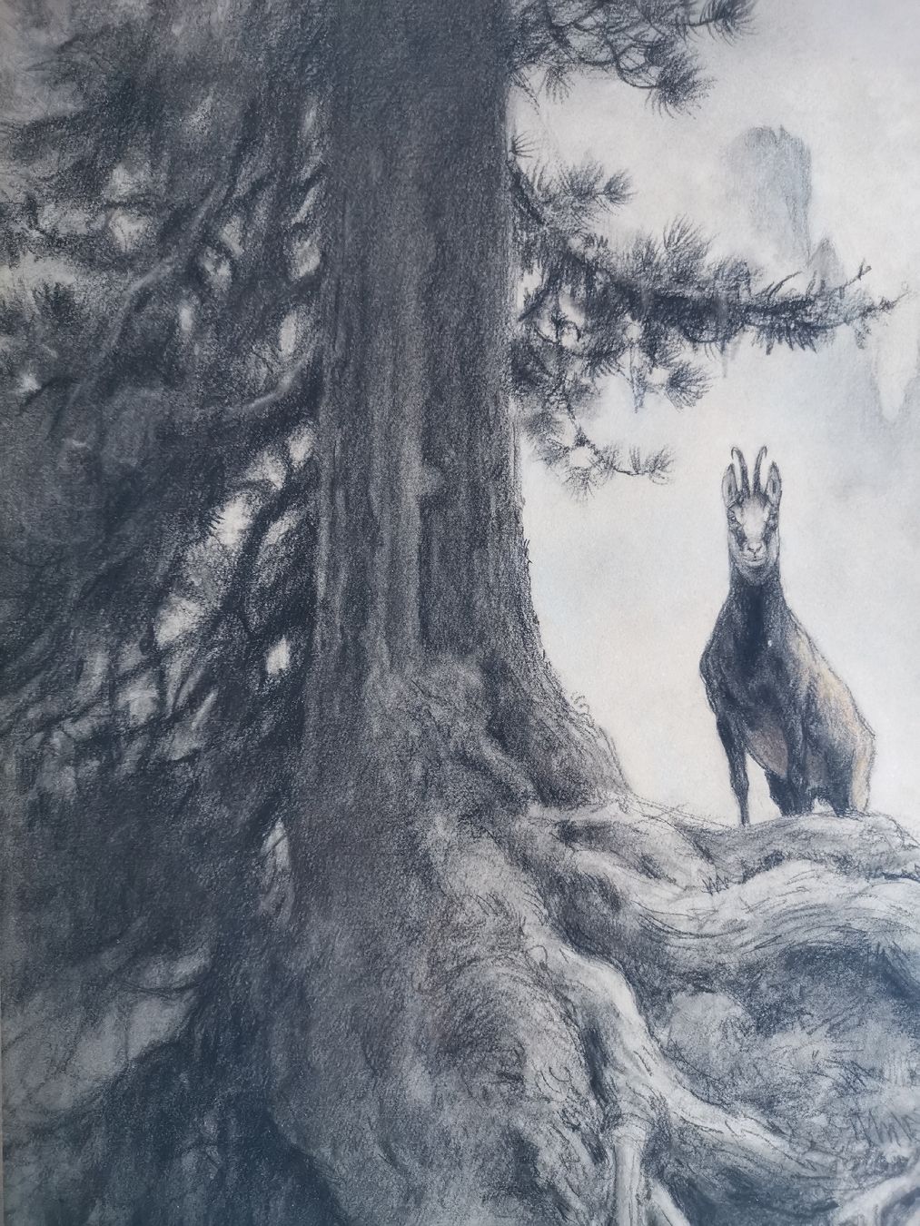 Dipinti: Dessin de Xavier de Poret – Usato da Farvagny-le-Grand venduto da CollectibleWatches 5