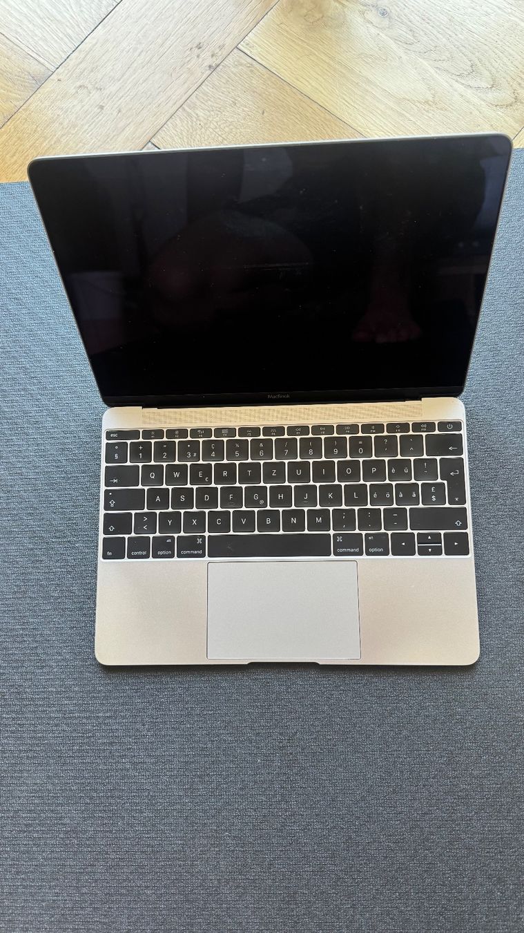 Apple Portables: Apple MacBook 12"  8 GB RAM – D'occasion à Bern par LeoDillier 1