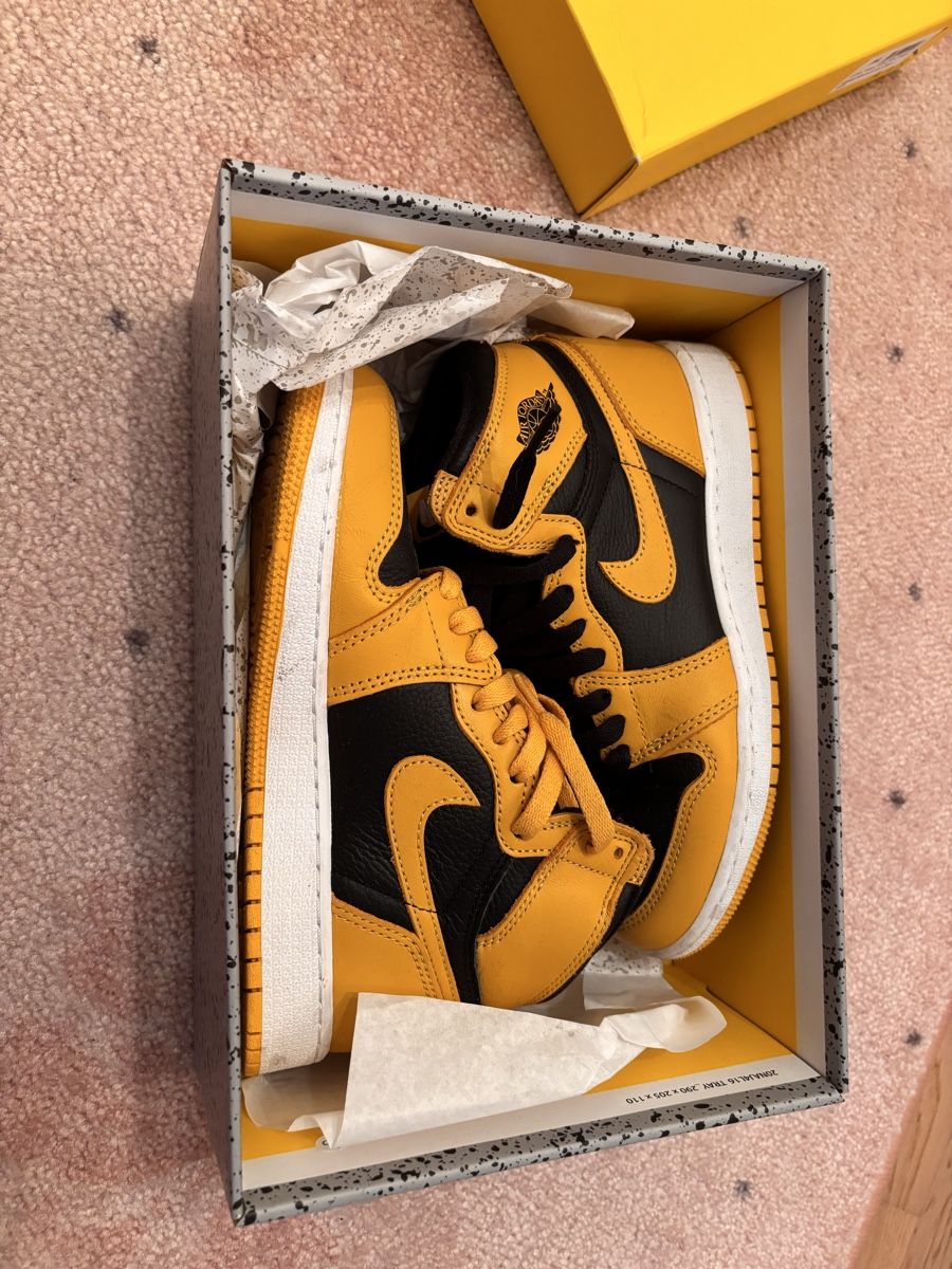 Jordan Scarpe da uomo: Sneakers – Usato da Dübendorf venduto da antoinette71 5