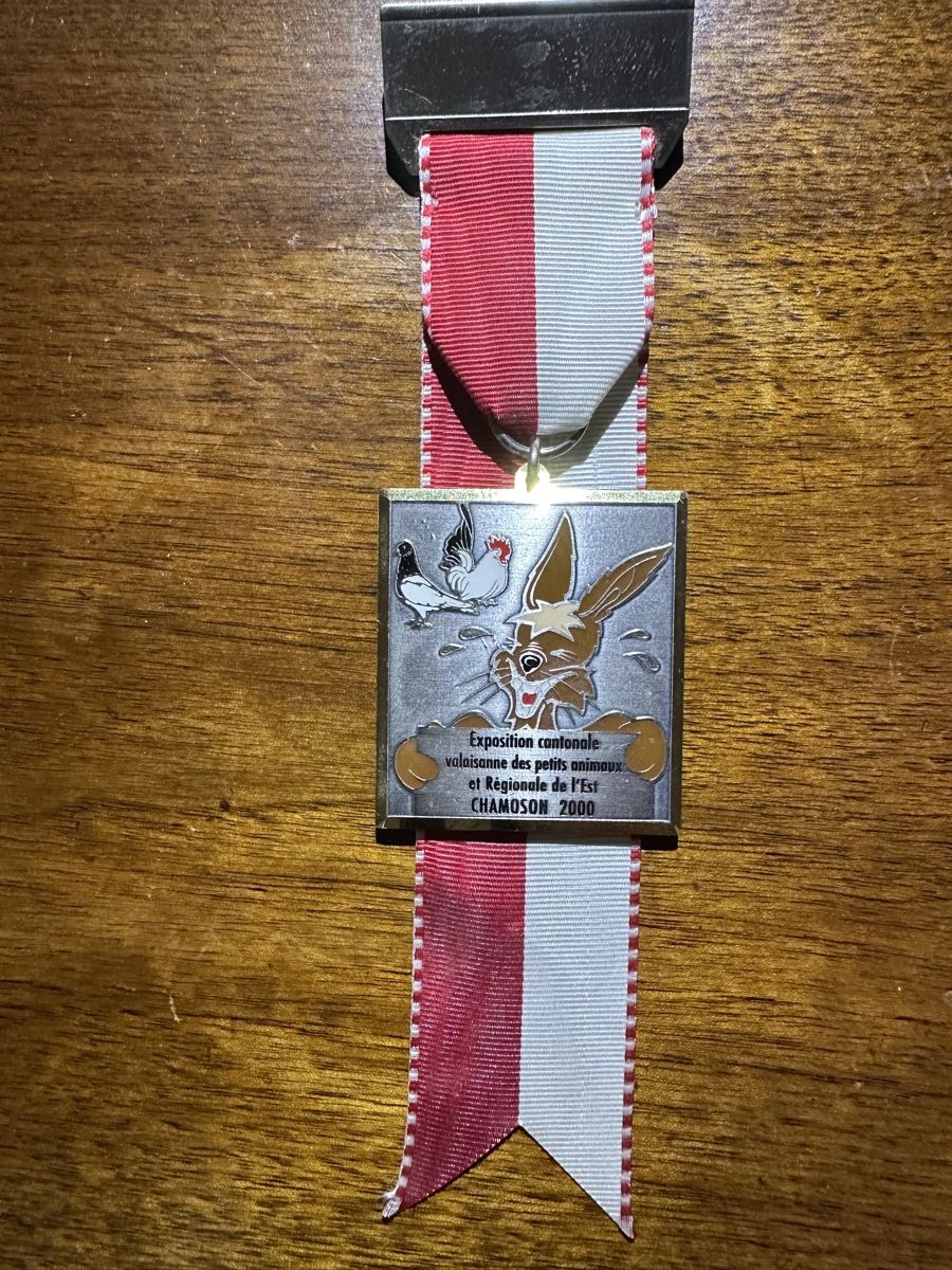Medaglie: Médaille Chamoson 2000 - Exposition cantonale rare! – Usato da St-Maurice venduto da Gigione01