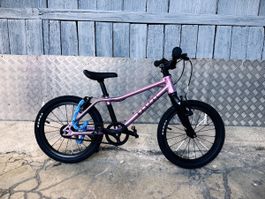 RASCAL 16 Kindervelo Gr 100-115 cm