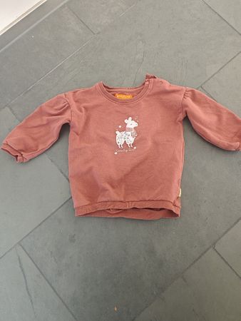 Staccato Pullover Gr. 80, Lama Motiv, Top Zustand!
