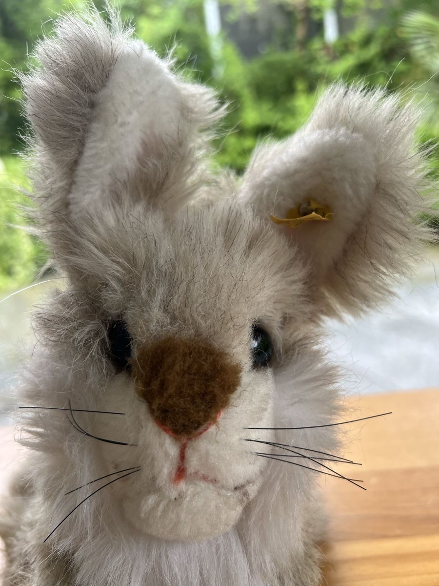 Steiff Giocattoli: Steiff Teddy Hase – Usato da Pfeffingen venduto da Jbieli 2