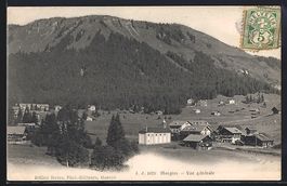 AK Morgins, Vue générale