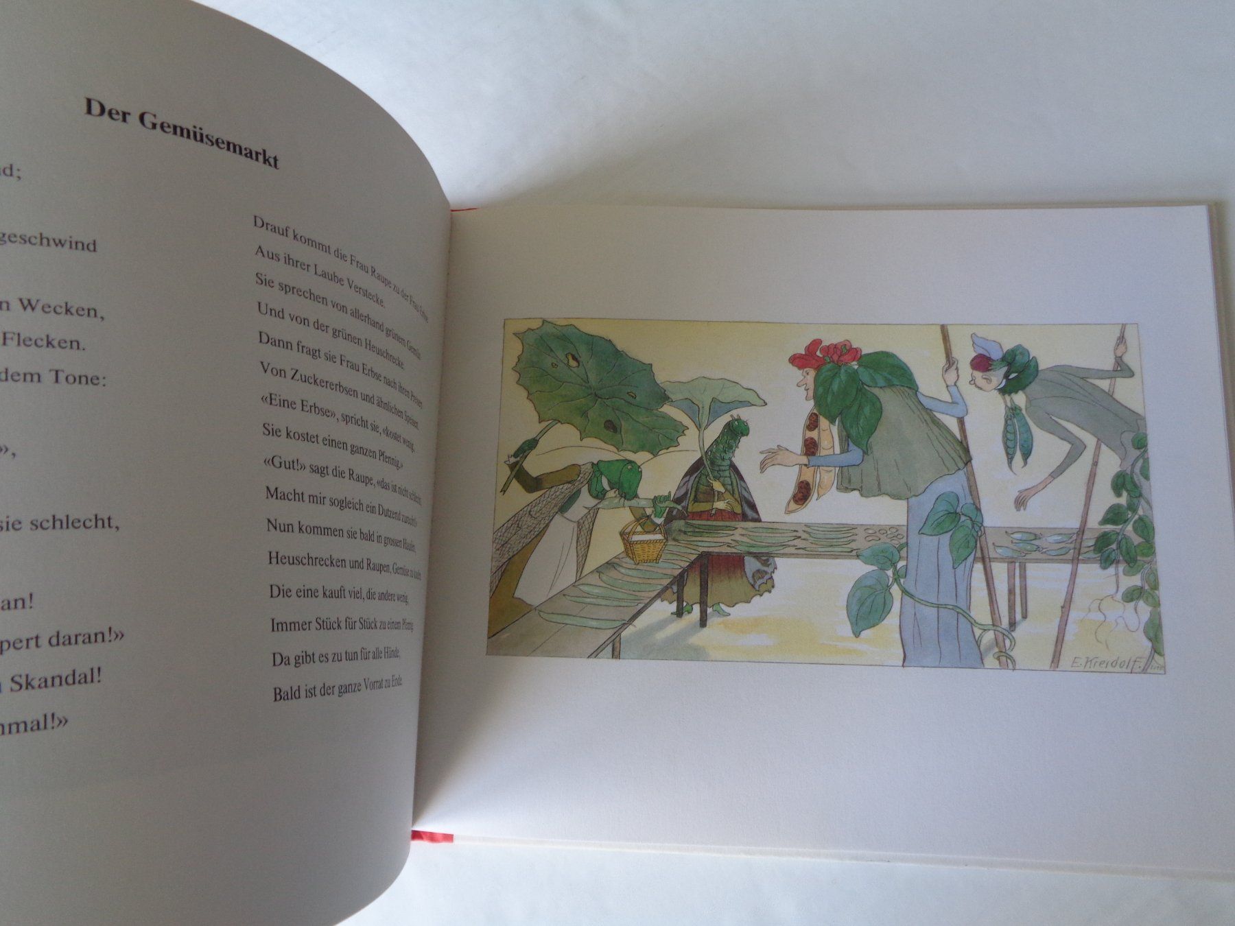Libri: Blumen Märchen von Ernst Kreidolf – Usato da Chur venduto da omonia 5