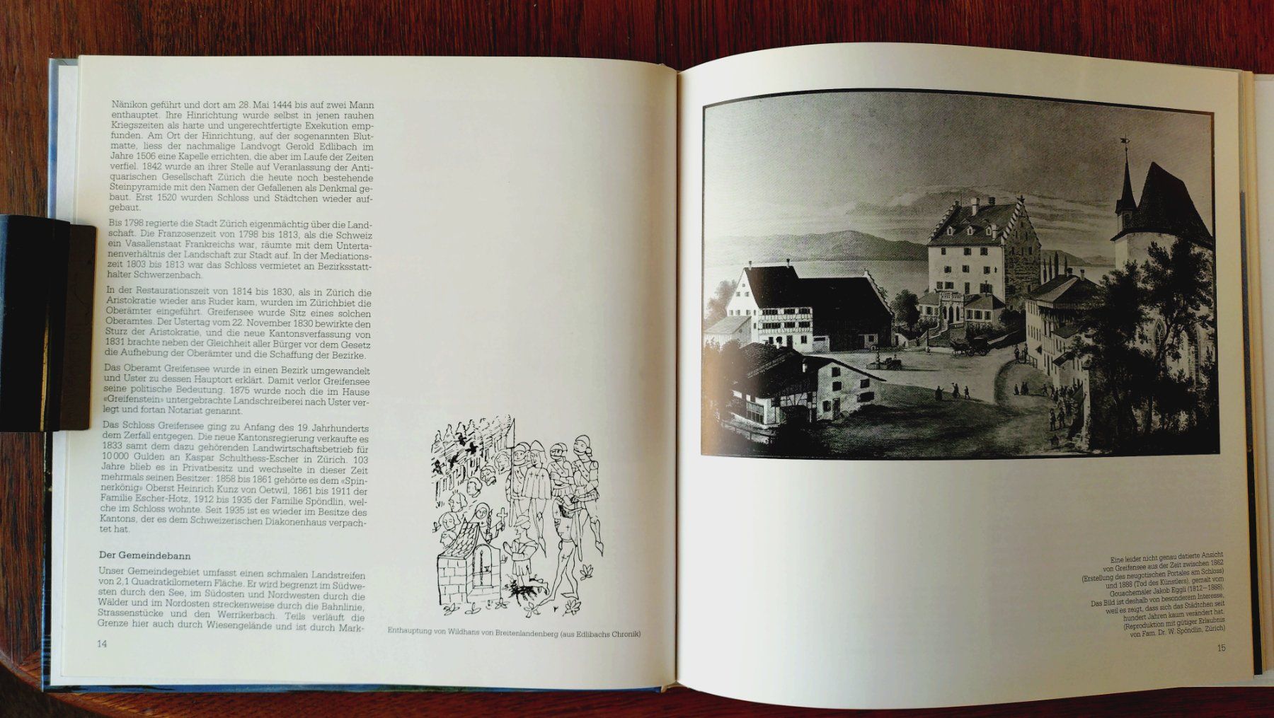 Libri: Greifensee: Chronik bis 1989 – Nuovo (secondo la descrizione) da Uster venduto da Junipa 2