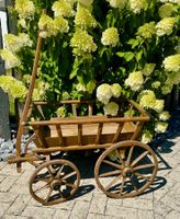 ANTIKER LEITERWAGEN