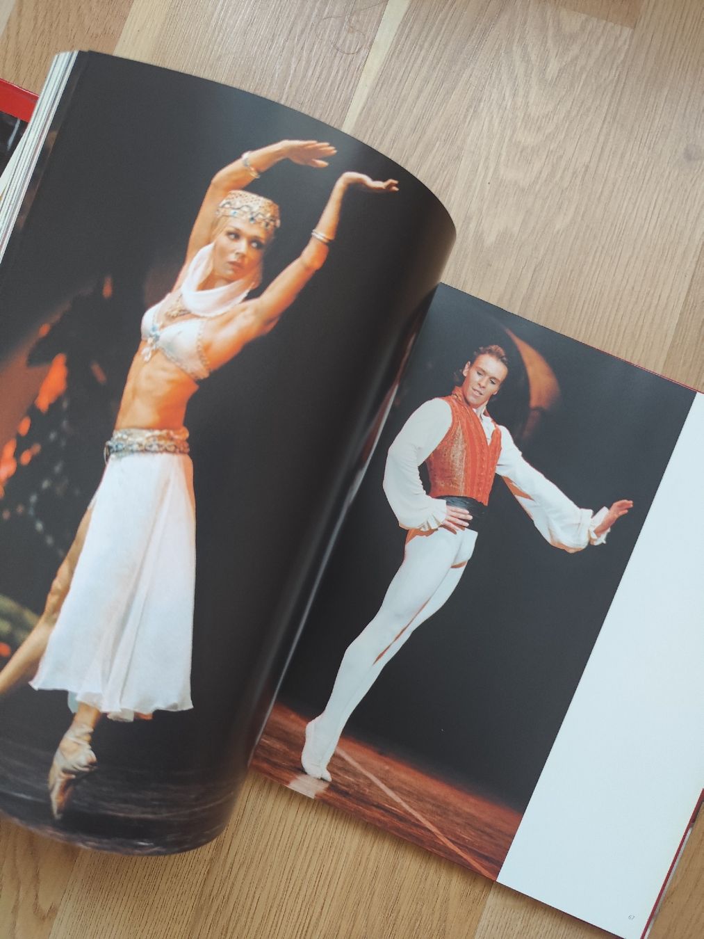 Libri: Danse book photos Jacques Moatti ballet Paris Opera – Usato da Mägenwil venduto da VintageGirly 5