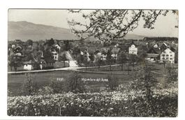 Hombrechtikon (ZH) Bezirk Meilen - Dorfpartie - Foto-AK 1929
