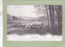 Landschaft  Pique-Nique Schafe 1903