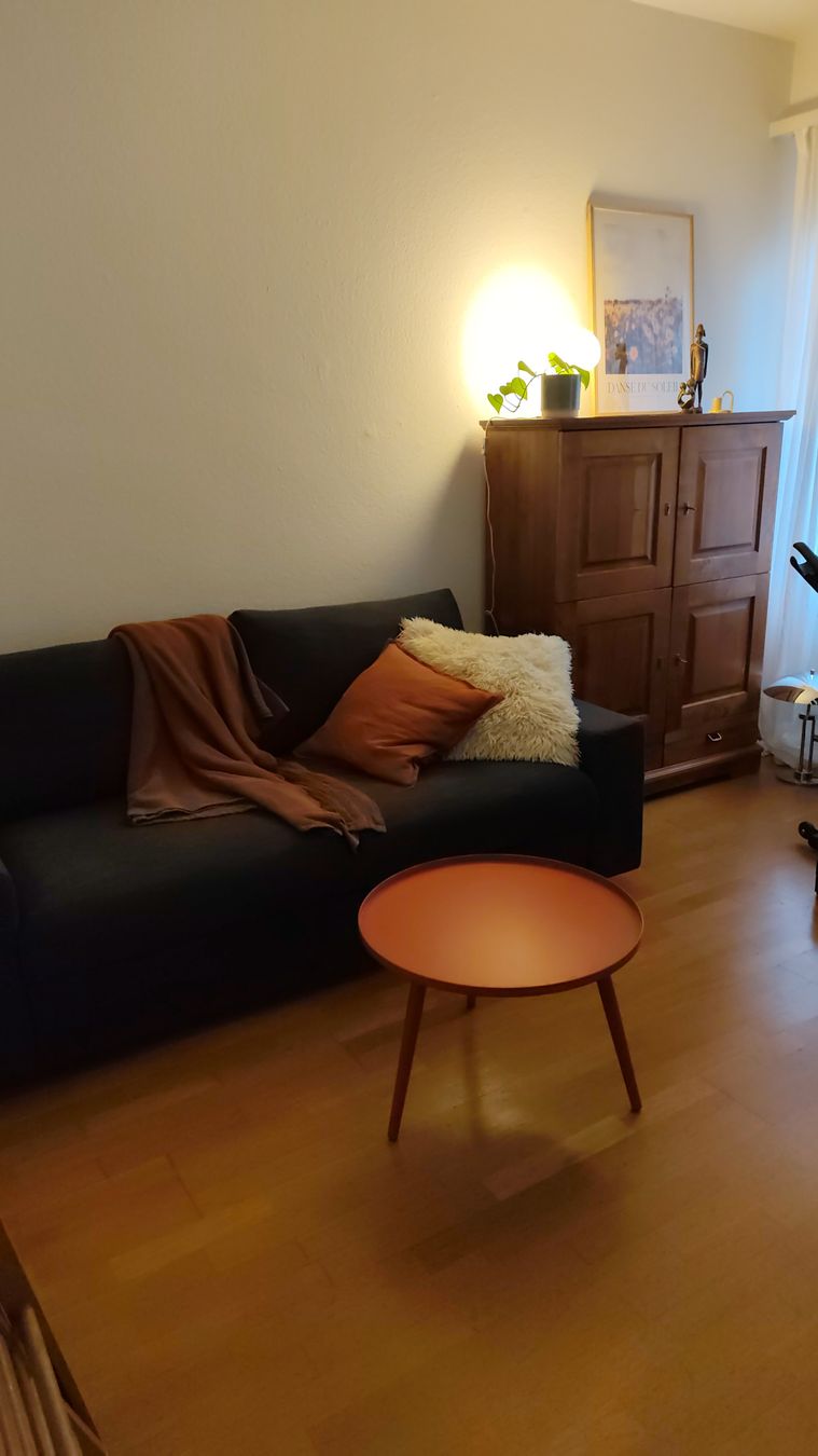 Sofas: Vimle Bettsofa in Antrazit kaum gebraucht  – Gebraucht aus Zürich von sofielahanna