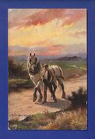 CHEVAL / PFERD