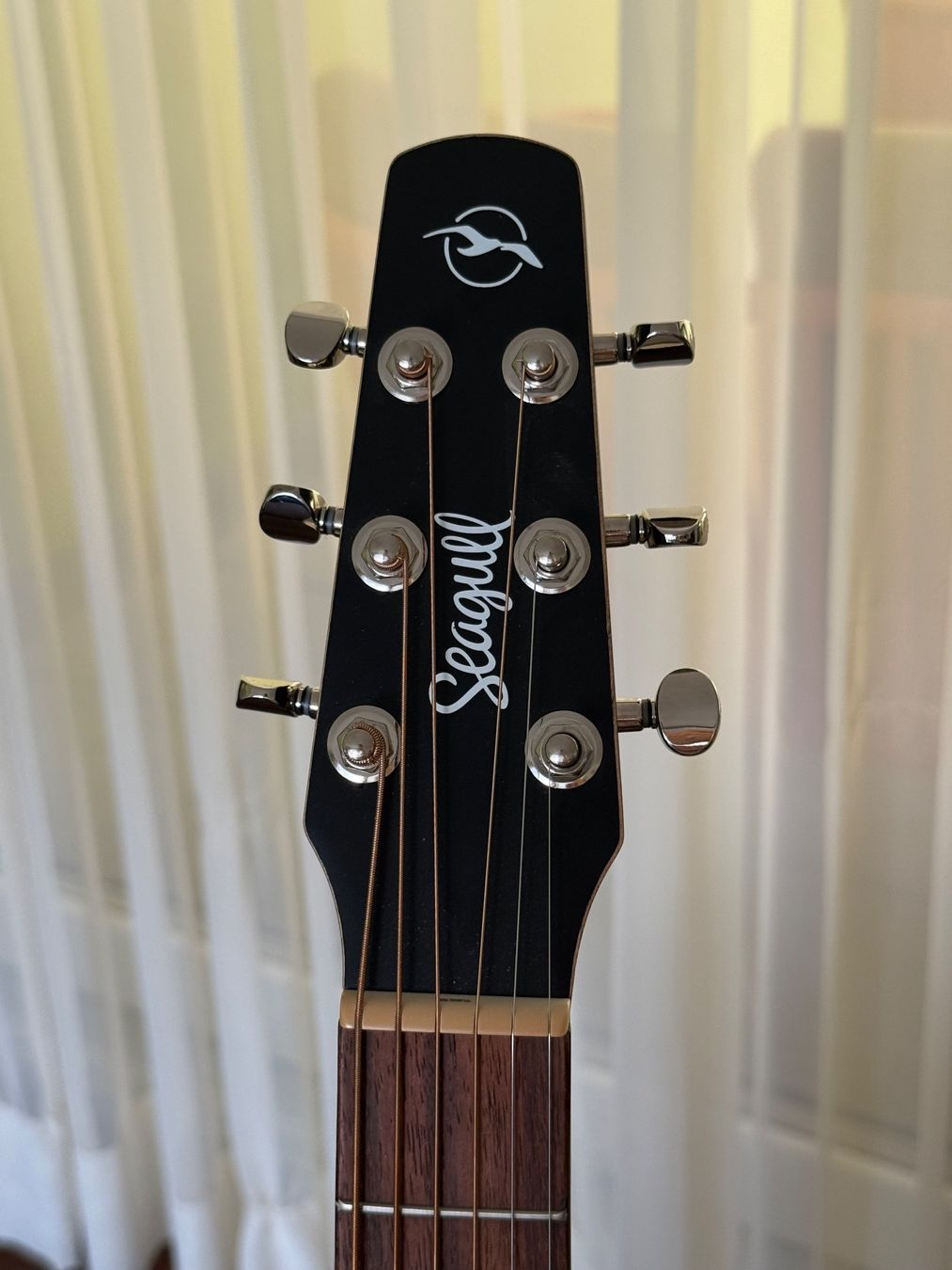 Seagull Instruments de musique: Seagull S6 Classic Black A/E Westerngitarre – D'occasion à Richterswil par velvetglove_rhcp 2