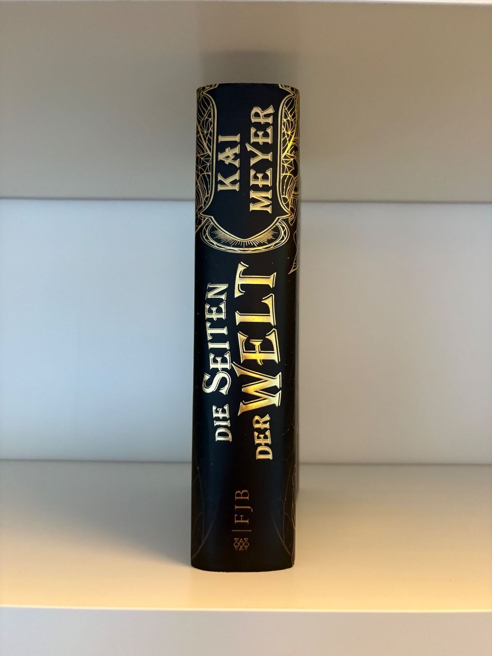 Libri: Die Seiten der Welt - Kai Meyer – Usato da Steffisburg venduto da elsa.catalina 2