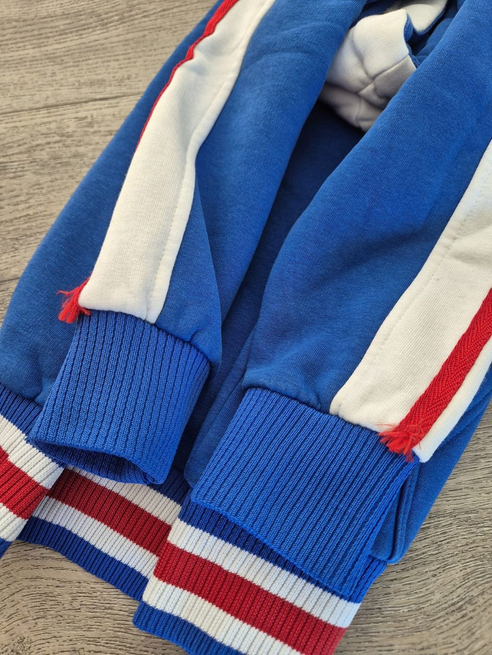 Zsc Lions Maglioni & Felpe: ZSC Hoodie – Usato da Ellighausen venduto da feg_tsz7 2