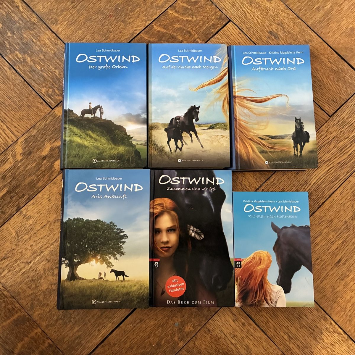 Libri: Ostwind 6 Bände – Usato da Winterthur venduto da bunteperlen