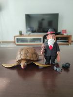 Superbe figurine de Tortue Géniale - Dragon Ball