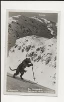 AK 1934 Weissfluhjoch mit Züripanther 🤩 RAR