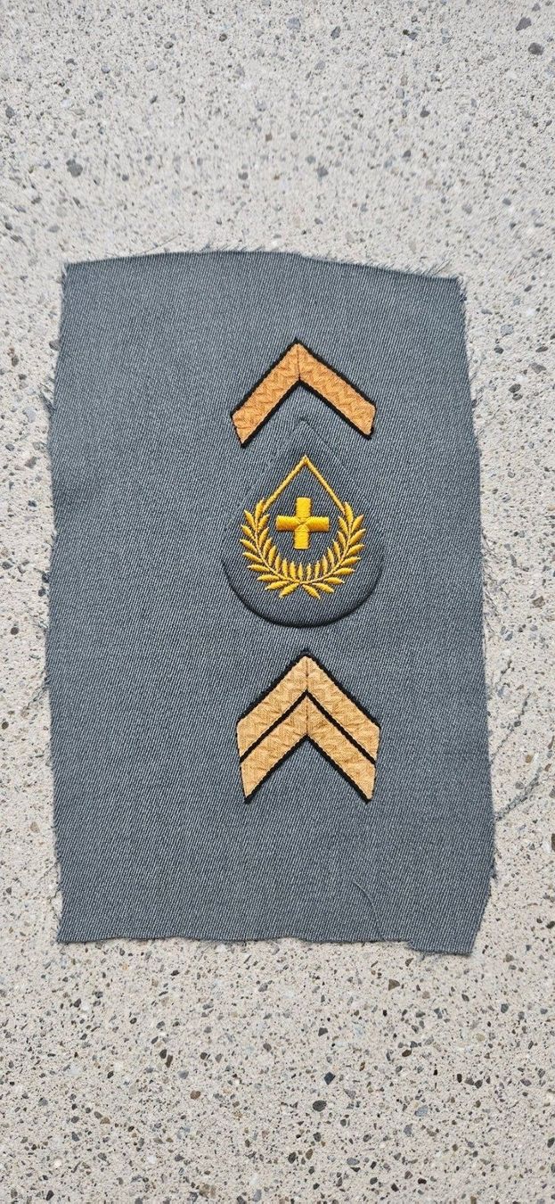 Schweizer Armee Placchette & Badge: *** Militär Abzeichen *** – Nuovo e nell'imballaggio originale da Riedholz venduto da fr_sIruP