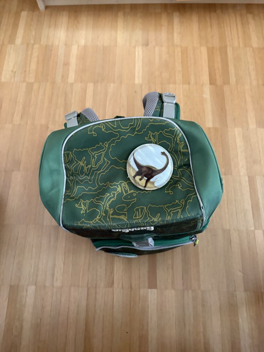 Ergobag Kindertaschen: Ergobag Rucksack grün gemustert – Gebraucht aus Kloten von fjehle72 1