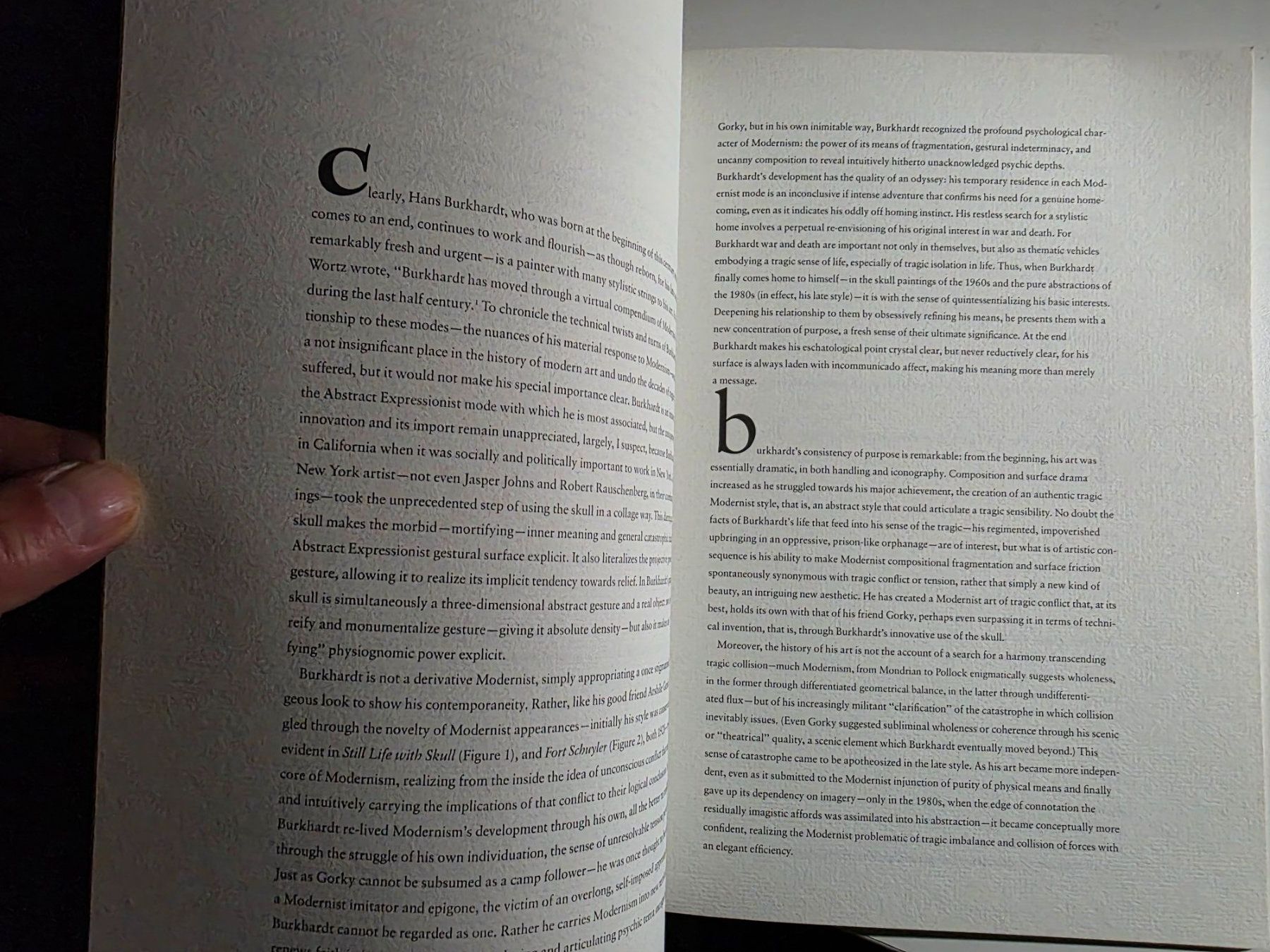 Libri: Hans Burkhardt - Catastrophe - Donald Kuspit 1990 – Usato da Walterswil BE venduto da Lonitti 3