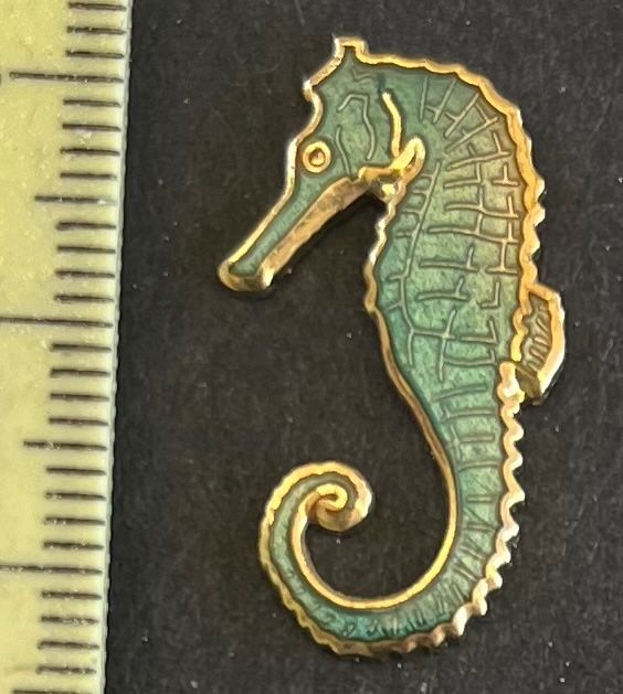 Plaquettes & Badges: Seepferdchen/ Pin – D'occasion à Ostermundigen par DaxKarten-75