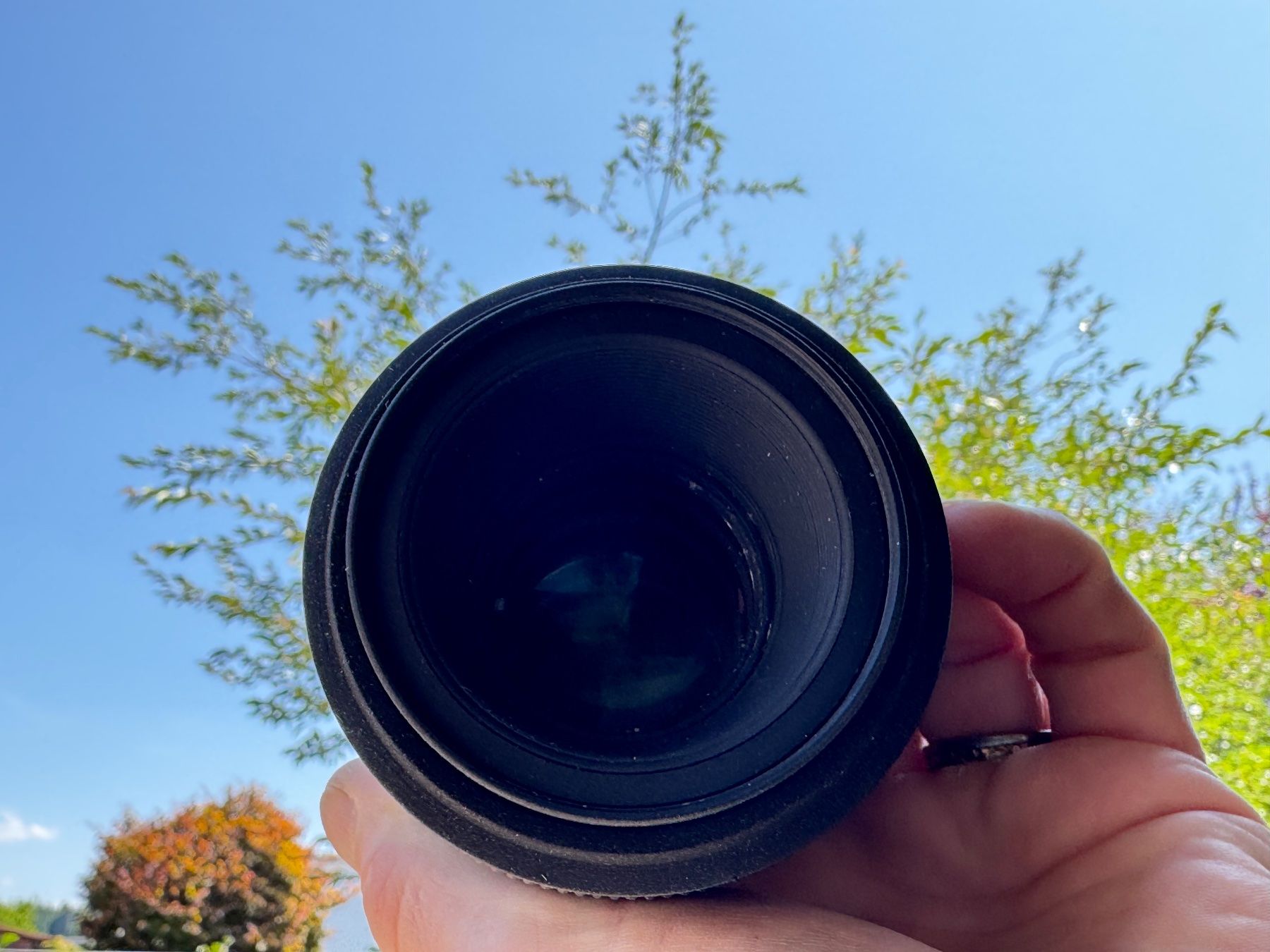 Sigma Obiettivi: Sigma 105 mm F/2.8 Makroobjektiv – Usato da Glashütten venduto da Lautbirru 1