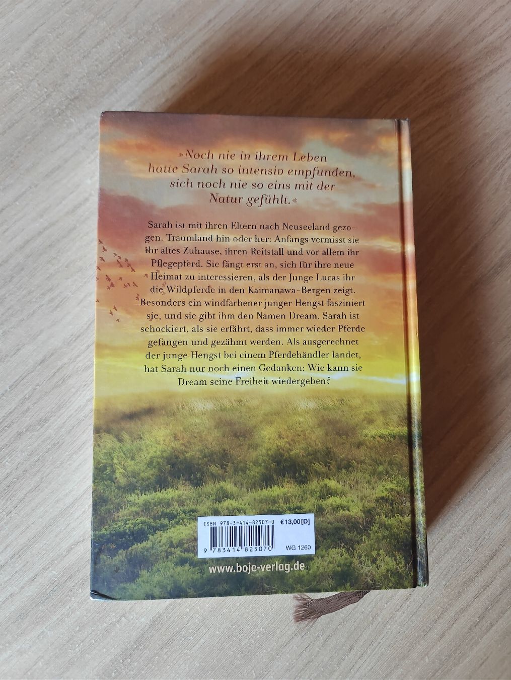 Bücher: Pferd Buch Illustriert Gute Kondition – Gebraucht aus Lyss von oli018 1