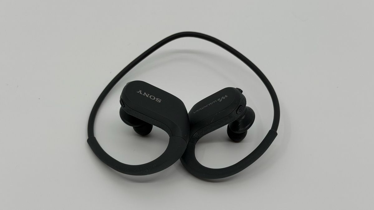 Sony Lecteur media portable: Sony Walkman WS410 MP3 Player wasserdicht – D'occasion à Lüchingen par phlanlab