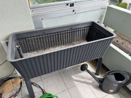 Keter Easy Grow Hochbeet 