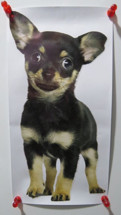 Placeholder Image