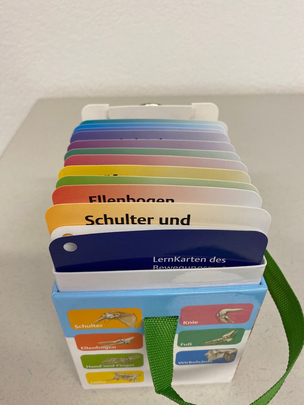 Altro materiale scolastico: Prometheus "Lernkarten des Bewegungssystems" – Usato da Niederhelfenschwil venduto da Chleeblatt1938 5