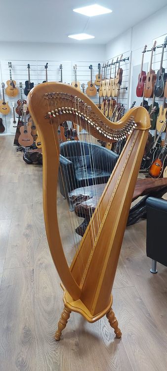 Keltische Harfe Artone ,H=140cm, 34-Saiten (Gebraucht) in Glattbrugg ...