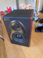 2x Studiomaster M5B aktive Studiomonitore – Paar – guter Zus
