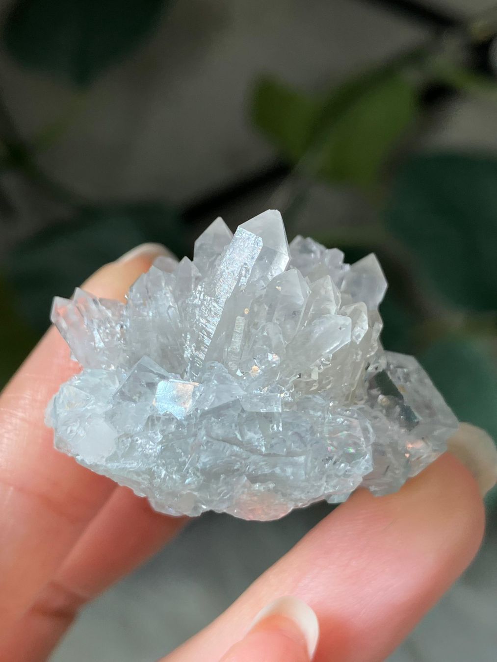 Minerali & Pietre curative: Quarz-Cluster mit Fluorit – Nuovo (secondo la descrizione) da Neuheim venduto da m.hald 2