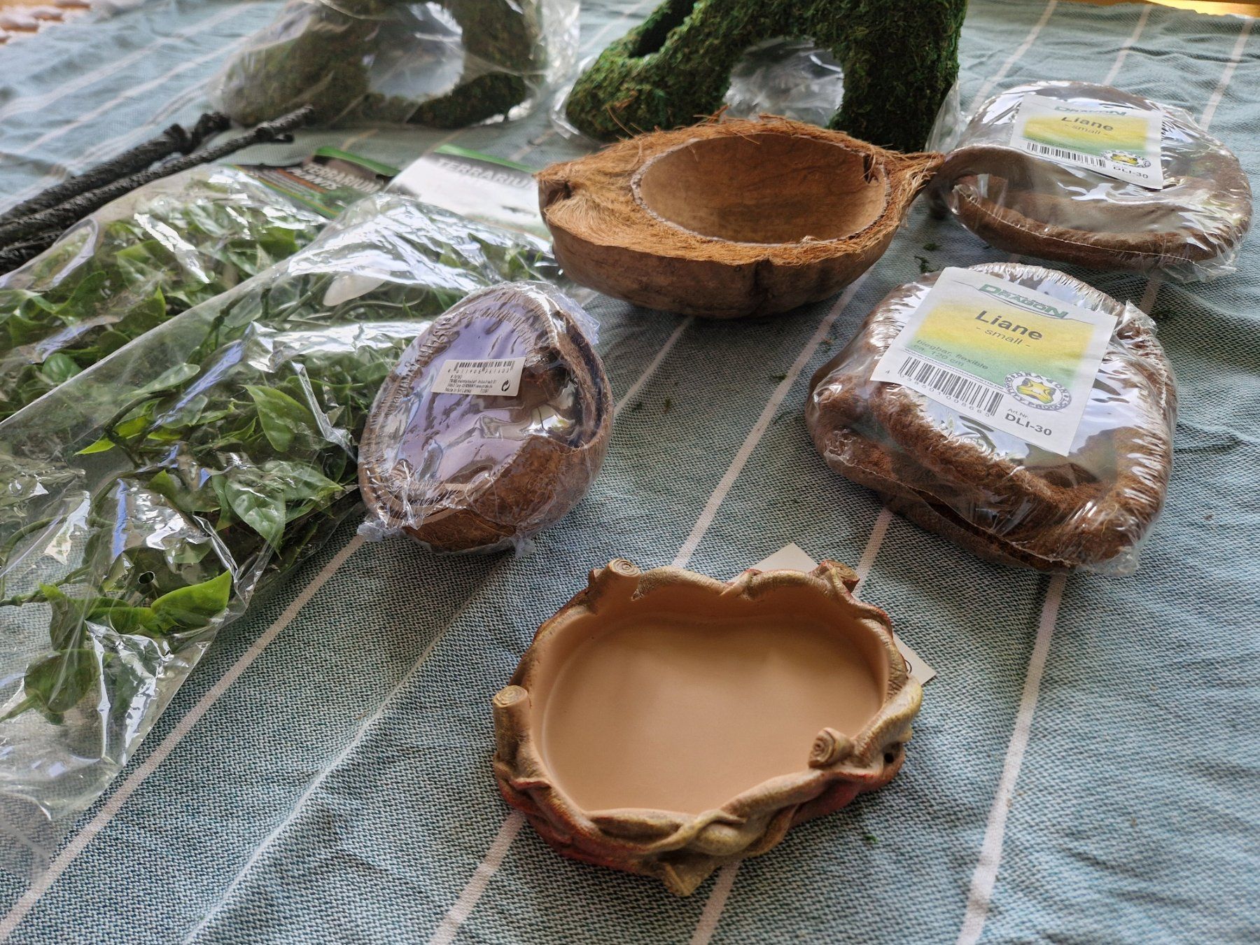 Tutte le decorazioni: Terrariumdekoration Set 1 Neuware!! – Nuovo e nell'imballaggio originale da Untersiggenthal venduto da AquaTerra-Discount 2