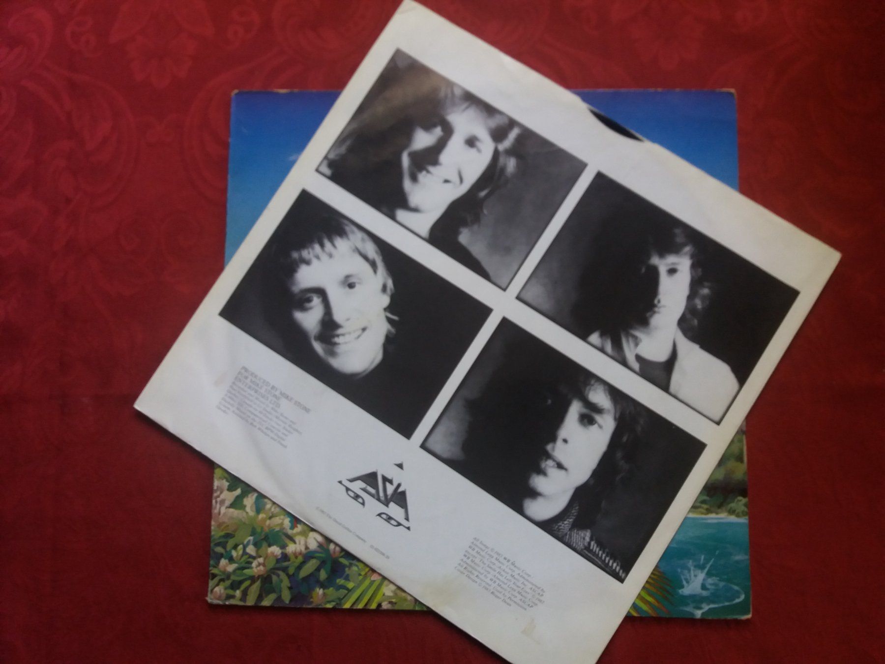Dischi in vinile: LP (Asia) Alpha – Usato da Meyrin venduto da toutatis 2