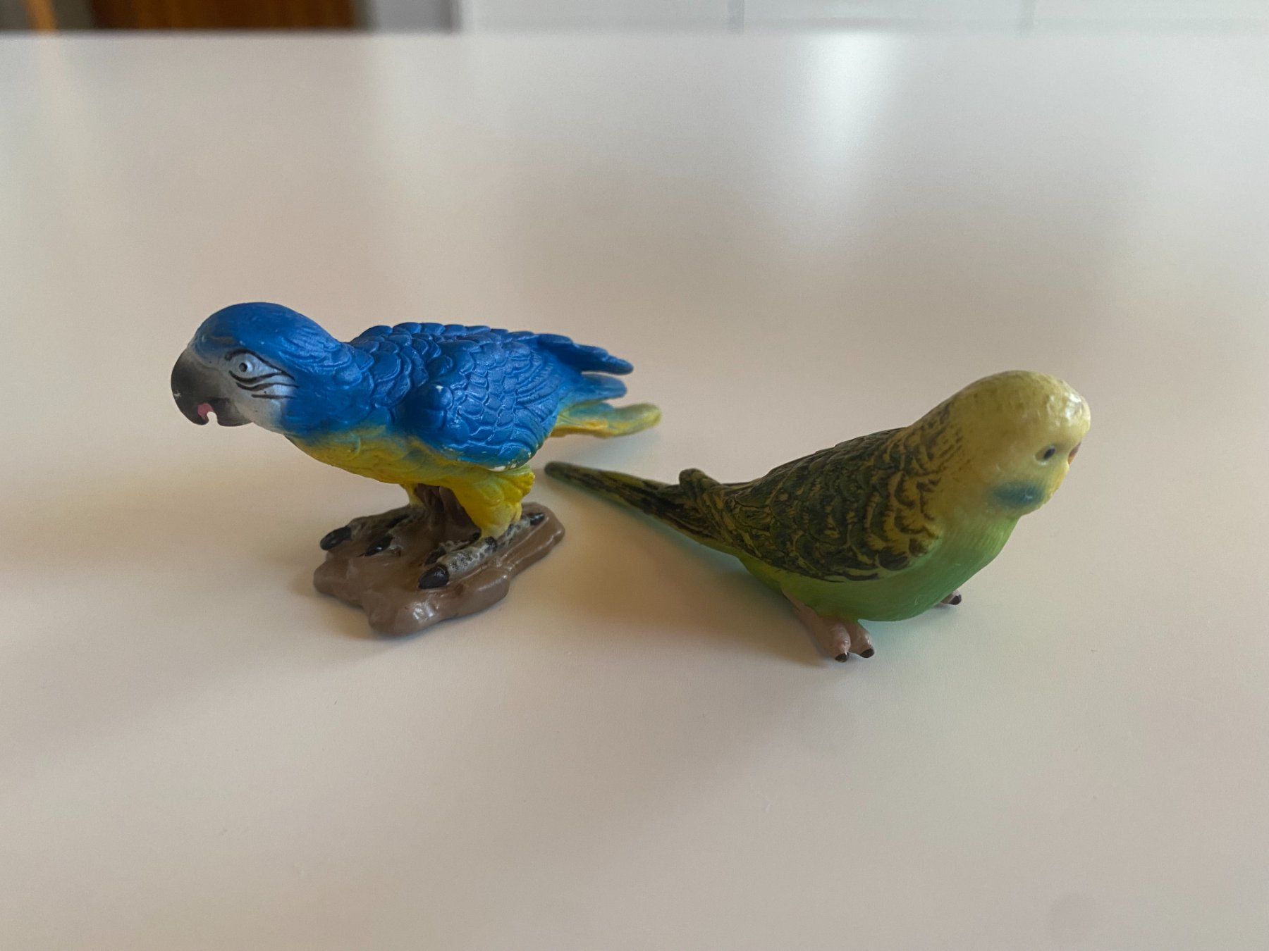Schleich Statuette: Schleich - Blauer - Papagei - und - Wellensittich – Usato da Gelterkinden venduto da ajdt4 1