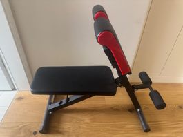 VEVOR Hantelbank Hyperextensionsbank